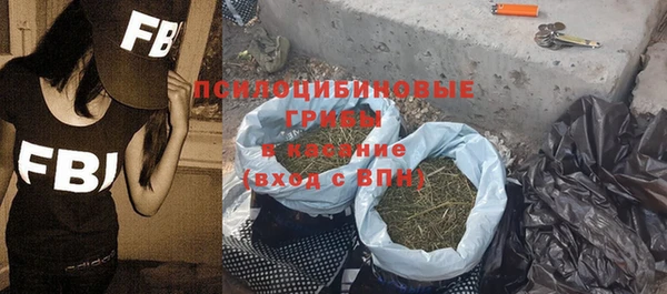 гашик Кострома